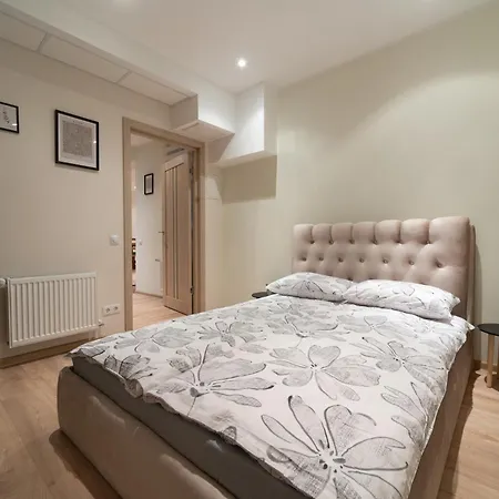 Apartament Cozy&chic - A Luxury And Spacious In The Heart Of