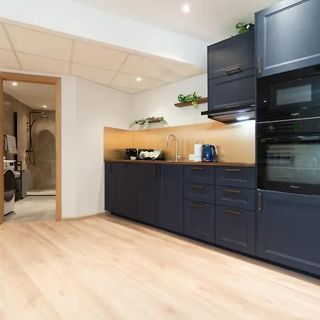 Cozy&chic - A Luxury And Spacious In The Heart Of Daire *